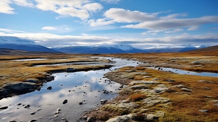 Arctic tundra scene in a healthy eco,system , arctic tundra, scene, healthy eco,system
