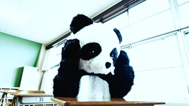 学校の教室で悩む、思春期の可愛いパンダ