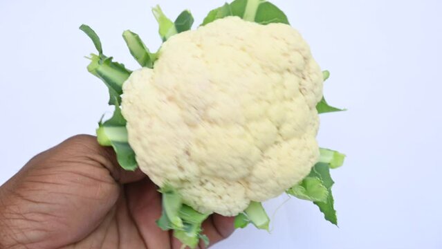Cauliflower on white background. It is one of several vegetables in the species in the genus Brassica, which is in the Brassicaceae family. Its other names Brassica oleracea, Brussels sprouts and cole