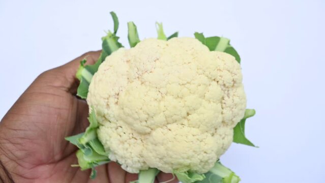 Cauliflower on white background. It is one of several vegetables in the species in the genus Brassica, which is in the Brassicaceae family. Its other names Brassica oleracea, Brussels sprouts and cole
