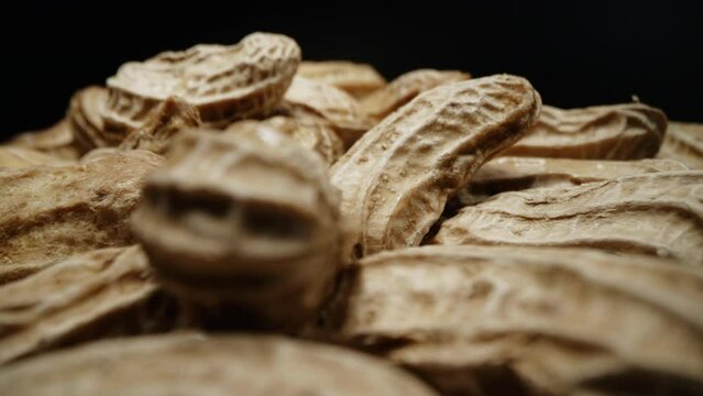 Macro closeup isolate footage of a lot raw peanut or groundnut with peel and unpeel for ingredient