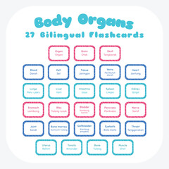 Body organs bilingual colorful flashcard vector set. Printable body organs flashcard for kids. English Indonesian language.