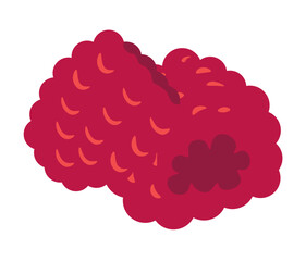 Fresh raspberries, organic and natural sweet berry