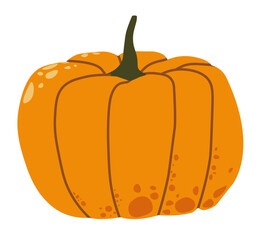 Ripe pumpkin vegetable, tasty cooking ingredient