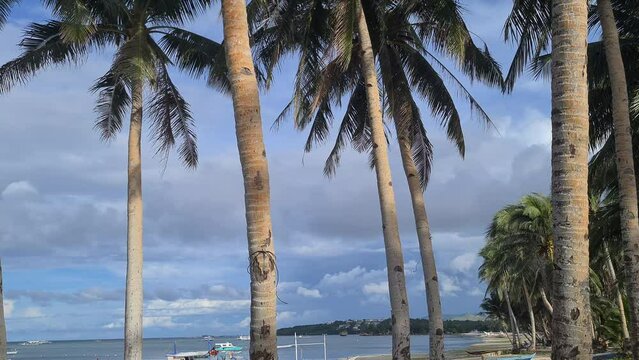 Boracay Island, Philippines. Palm Trees and Boats on Bulabog Beach, Revealing Shot