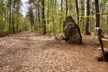 Hinkelstein monument on the side of a walking path, Hinkelsteinweg, on a spring day in the Palatinate Forest of Germany. - obrazy, fototapety, plakaty