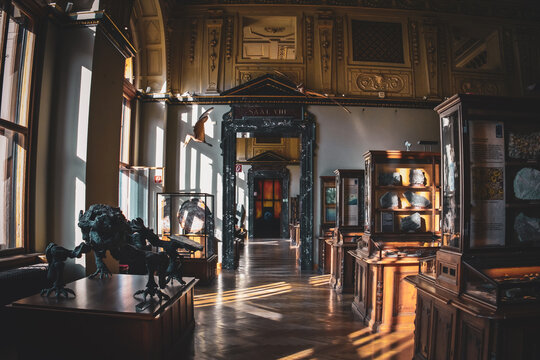Sunlit Rooms of Vienna Natural History Museum