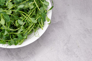 Growing greens at home. Microgreens of peas in plate on beige natural background. Healthy and fresh vegan food. Growing microgreens. Seed germination at home. Windowsill garden. Eco farming