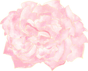 pink rose watercolor with sparkles glitter effects illustration