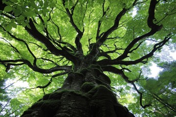 the breathtaking of beauty nature professional photography