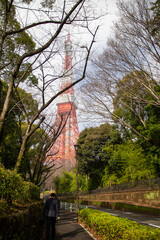 Tokyo Tower in March