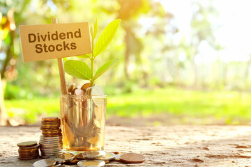 Invest on dividend stocks concept. Jar of coins with growing plant at sunrise.	