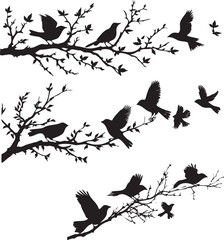 Set of Birds on branch silhouette on white background 