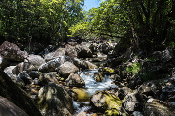 river in the forest.