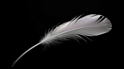 Obraz premium shadow black grey background illustration charcoal slate, ebony steel, silver smoky shadow black grey background