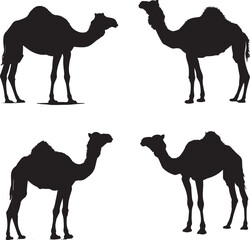 Set of Camel Black Silhouette 