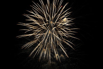 Obraz premium Beautiful fireworks at night. Selective focus. 