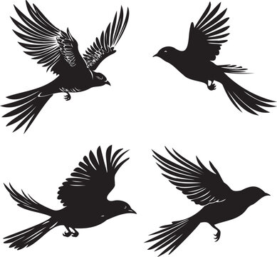 Set of Cuckoo flying Black silhouette on white background 