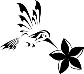 black and white flower,bird,silhouette

