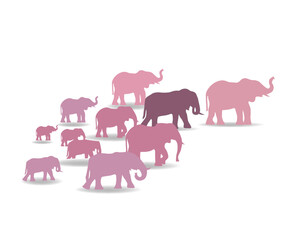 animals silhouettes pink elephant vector