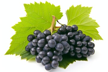Obraz premium A bunch of grapes, including yellow and black grapes, with leaves on a white surface, suggesting wine.