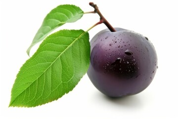 An ancient fruit, possibly a purple plum with a leaf, is seen.