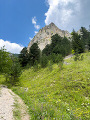 Obraz premium Country road in a mountainous area with a beautiful landscape