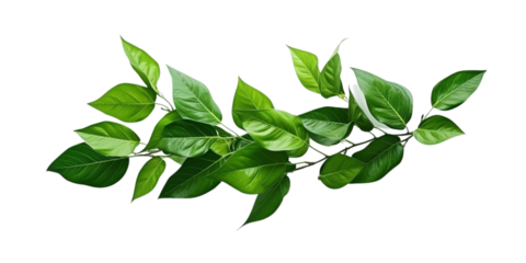 Green leaves in arrangement Artificial Intelligence Generative