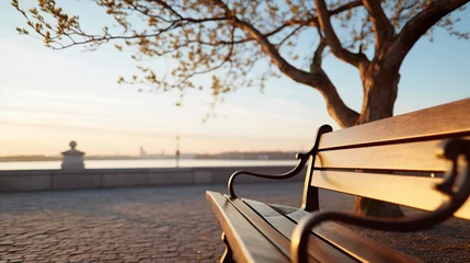 Foto op Plexiglas bench in the park © Muhammad