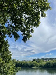 lake and trees