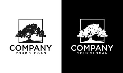 Creative Square Tree vector logo this beautiful tree is a symbol of life, beauty, growth, strength, and good health.