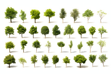 Trees Collection Set on White Background