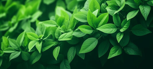 Close-up of a bunch of green leaves, nature, Generative AI