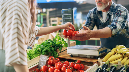 Close Up of a Female Customer Buying Natural Organic Tomatoes From a Happy Senior Farmer on a Sunny...