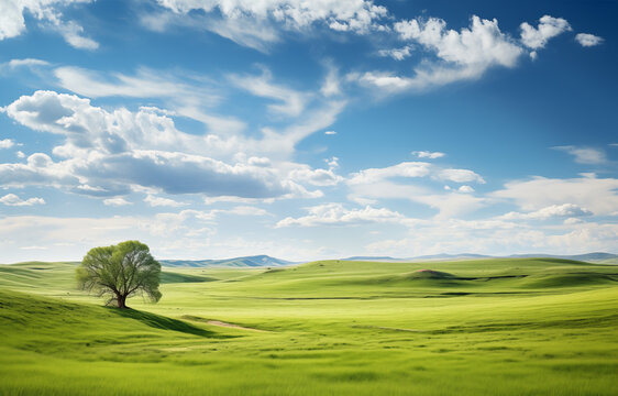 Beautiful A sunny grassland landscape with green, AI Generative Photo