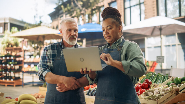 Partners Working at a Farmers Market. Middle Aged Couple Selling Ecological Fruits and Vegetables From a Food Stand. Street Vendors Using Laptop Computer and Discussing Steps for Business Development