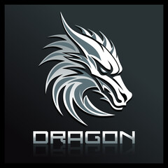 Dragon design logo template. Dragon head on a dark background. Vector illustration