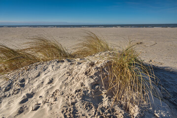 Coast of the Baltic Sea. - 710335972