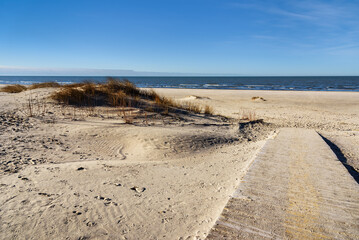 Coast of the Baltic Sea. - 710335985