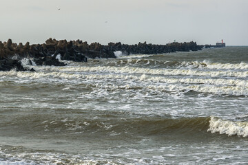 Coast of the Baltic Sea. - 710336170