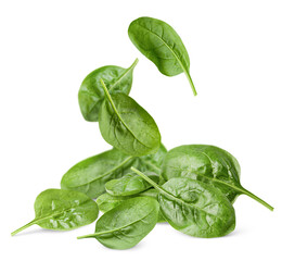 heap and falling leaves of spinach on a white isolated background