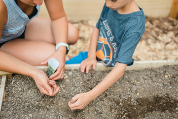 Fototapeta na wymiar High angle of mom and child planting seeds from packet in garden bed