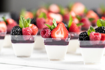 Vanilla Panna Cotta topped with mix berry fruit and mint