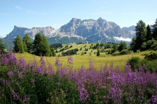 Dolomite's landscape in Alta Badia
