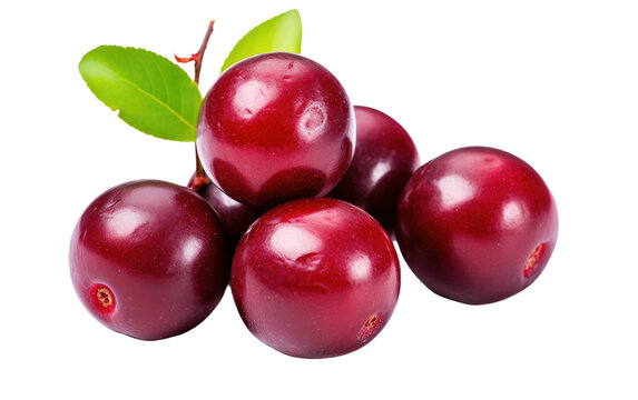 Kokum Infusion Reveling in the Intense Hue of Dark Red Juiciness On White or PNG Transparent Background.