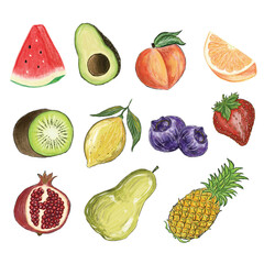 collection of fruits illustration