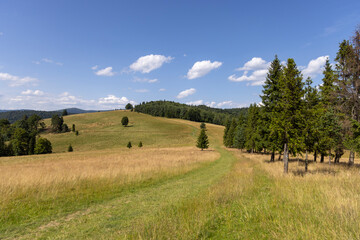 Tourist route along the peak of the Pieniny Mountains, panorama of picturesque meadows against the blue sky, Poland