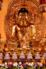 Quang Khanh Pagoda. Giant  golden Buddha Sakyamuni statue on main altar. Can Tho. Vietnam.