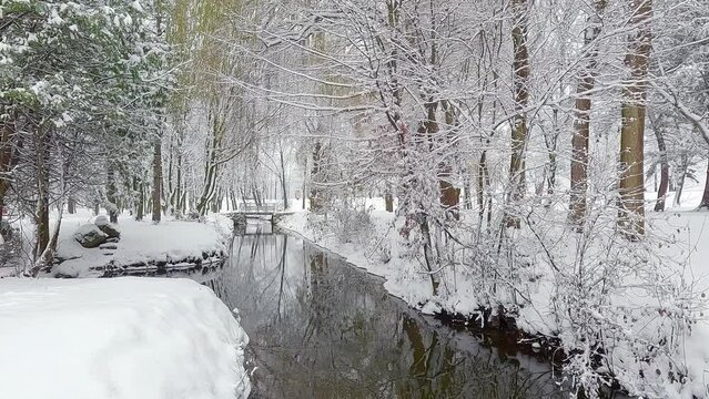 Trees covered by frsh snow on the shore of Seret river in Topilche park, Ternopil town, Ukraine, Europe. Cold winter scene of city park. 4K video (Ultra High Definition)..