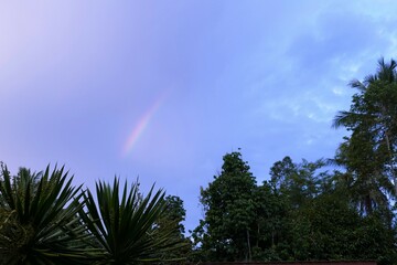 rainbow over the sky